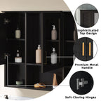 Modern Wall Mounted Medicine Cabinet