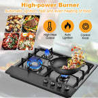 Propane Stove Indoor, Powerful Built-in Burners, Portable