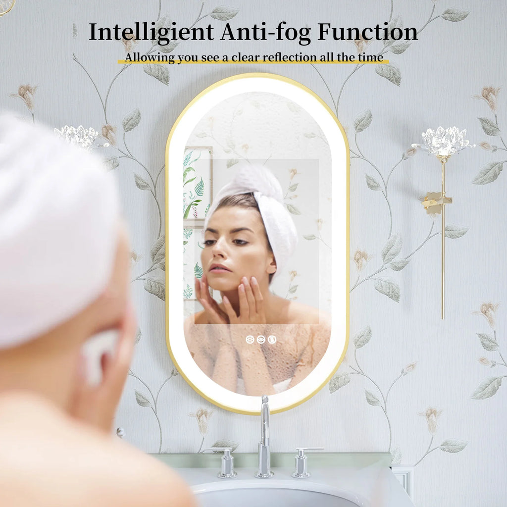 Large LED Oval Bathroom Mirror with Stepless Dimmable Lighted Vanity Mirror