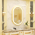 Large LED Oval Bathroom Mirror with Stepless Dimmable Lighted Vanity Mirror
