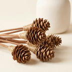 Mini Pinecone Reed Diffuser Sticks, 9" — 16 Pack